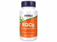 EGCg Grüntee-Extrakt 400 mg (90 Kapseln)