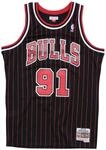 Swingman Mesh Jersey Chicago Bulls 1995-96 Dennis Rodman