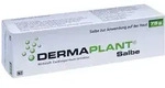 Dermaplant Salbe 75 g