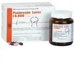 Pankreatin Laves 10.000 Ph.Eur-Einheiten 200 St