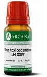 RHUS Toxicodendron LM 24 Dilution 10 ml
