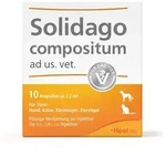 Solidago Compositum ad us.vet.Ampullen 10 St