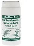 Sutherlandia Ballonerbsen 580 vegetarisc 200 St