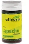 Lapacho Kapseln 100 St