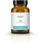 SAM S-adenosylmethionin Kapseln 60 St