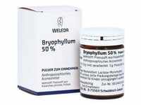BRYOPHYLLUM 50% Pulver zum Einnehmen 20 Gramm