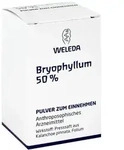 Bryophyllum 50% Pulver zum Einnehmen 20 g