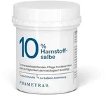 Harnstoffsalbe 10%ig 250 g