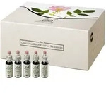 Bachbl&uuml;ten 10 ml Set Tropfen 400 ml