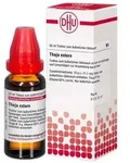 Thuja extern 20 ml
