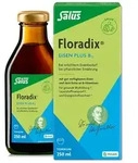 Floradix Eisen plus B12 Tonikum 250 ml
