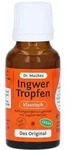 Ingwertropfen Dr.muches 20 ml
