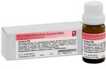 Dr. Reckeweg Arnica D6 Globuli 10 g