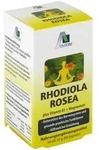 Avitale Rhodiola Rosea 60 St