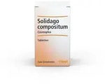 Solidago Compositum Cosmoplex Tabletten 250 St