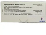 Bryophyllum D 5/conchae D 7 Ampullen 8X1 ml