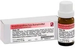 Dr. Reckeweg Ruta D6 Globuli 10 g