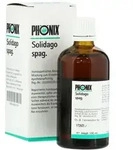 Ph&ouml;nix Solidago Spag.mischung 100 ml