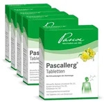 Pascallerg 500 St