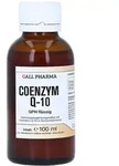 Coenzym Q10 GPH fl&uuml;ssig 100 ml