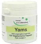 Yamswurzel Kapseln 120 St