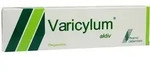 Varicylum Aktiv Pflegesalbe 100 g