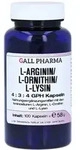 L-arginin/l-ornithin/l-lysin 4:3:4 GPH K 100 St