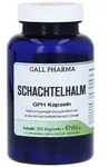 Schachtelhalm Kapseln 120 St