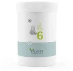 Biochemie Pfl&uuml;ger Sch&uuml;&szlig;ler-Salz Nr. 6 Kalium sulfuricum D6 4000 St