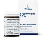 Bryophyllum 50% Pulver zum Einnehmen 50 g