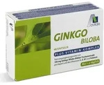 Avitale GINGKO-Biloba 48 St