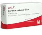 Carum Carvi Z&auml;pfchen 10X2 g