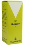 Solidago H 32 Tropfen 100 ml