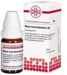 Rhus toxicodendron D6 Globuli 10 g