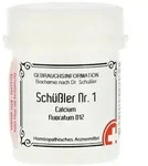 Sch&uuml;ssler NR.1 Calcium fluoratum D 12 Ta 400 St