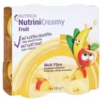 Nutrini Creamy Fruit Sommerfr&uuml;chte 4X100 g