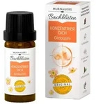 Bachbl&uuml;ten Murnauers Konzentrier Dich Gl 10 g