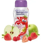Nutrinidrink Smoothie rote Fr&uuml;chte 32X200 ml