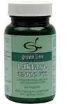 Laktase 12.000 FCC Kapseln 60 St