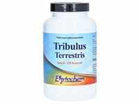 Tribulus terrestris 1200 mg Kapseln 120 Stück