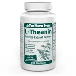 L-theanin 500 mg Kapseln 100 St
