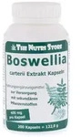 Boswellia Carterii 400 mg Extrakt veget. 200 St