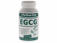 EGCG 100 mg Grüntee Extrakt plus Kapseln 200 Stück