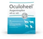 Oculoheel Augentropfen ad us.vet.Einzeld 20 St