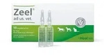 ZEEL ad Us.vet.ampullen 50X5 ml
