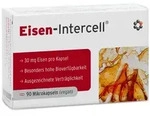 Eisen-intercell Magensaftresistente Kapseln 90 St