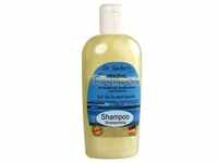 TOTES MEER SALZ Shampoo 250 Milliliter