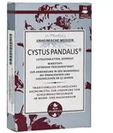 Cystus Pandalis Lutschtabletten 66 St
