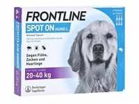 Frontline Spot On gegen Zecken und Flöhe bei Hunden 20 - 40 kg 6 Stück