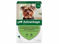 ADVANTAGE 40 mg Lösung Hunde bis 4 kg 4 Stück